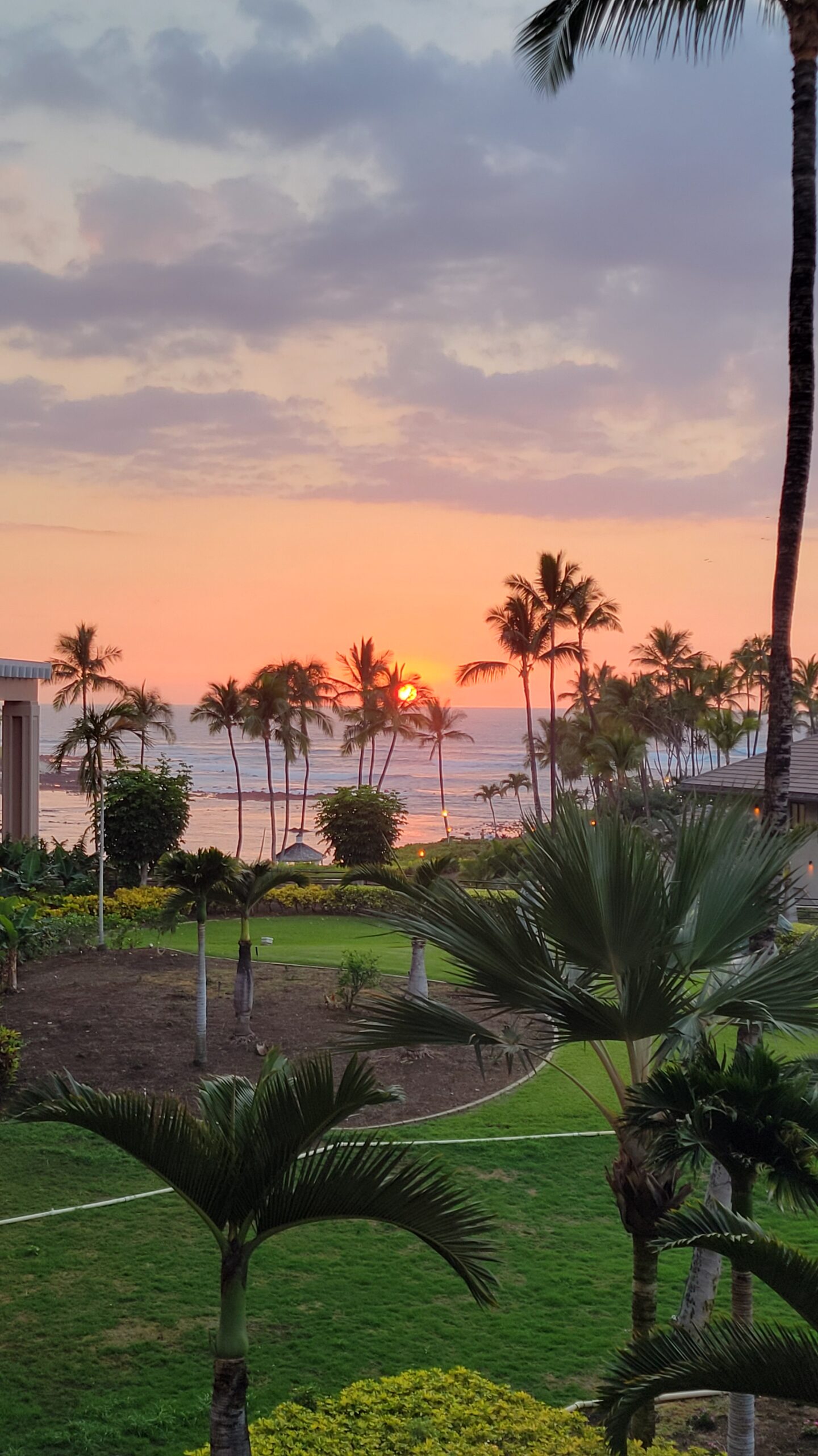 20250224_182403 https://harrisongrp.com/wp-content/uploads/2025/12/20250224_182403-scaled.jpg